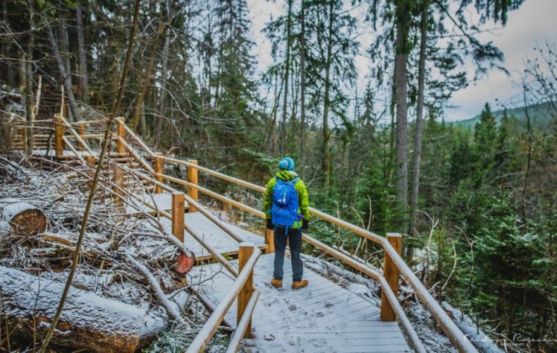 C-rul-u-dabas-takas-1-1024x621-Rajeckis