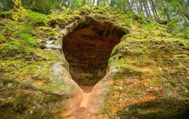 Cirulisu dabas takas (4)