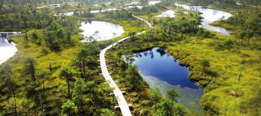 The footbridge of the Great Ķemeri Moor