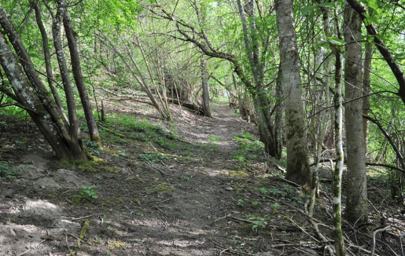 Imoula nature trails