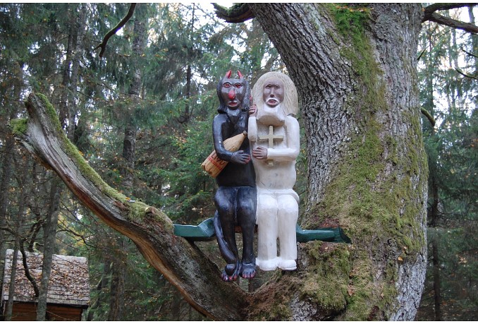 Forest learning and educational trail “OZOLU BIOTOPS” AND “LIVU STELA”