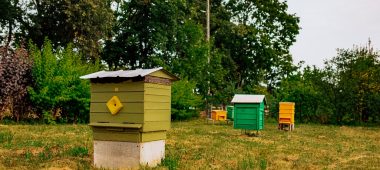 Latvian Museum of Beekeeping History
