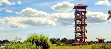 Lielupe floodplain meadows and lookout tower