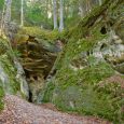 llklintis_2078-1024x682