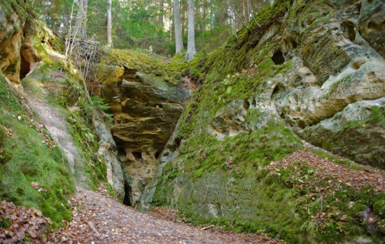 llklintis_2078-1024x682