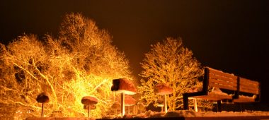 Stone stories of Grobina district