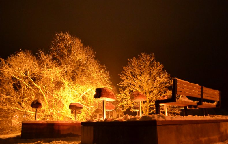 Grobiņas-akmens-stāsti3