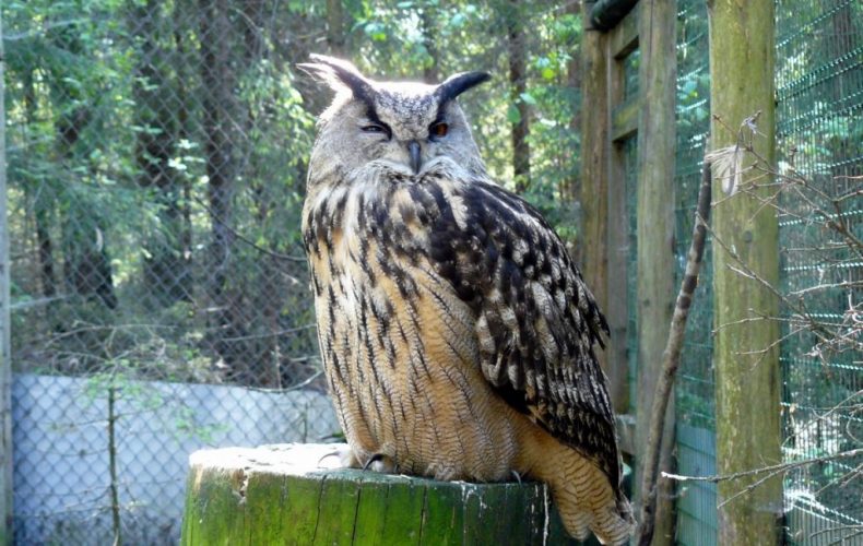 Līgatnes-takasūpis-1024x684