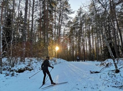 Ogres Zilie kalni - slēpošanas trase__427x320