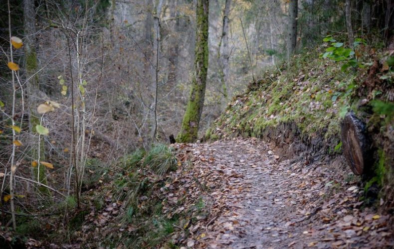 Sigulda-Vikmestes-taka
