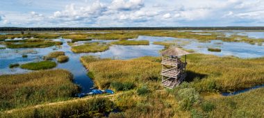 Sedas purvs nature reserve