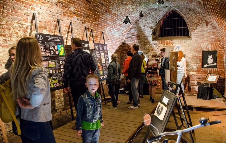 Daugavpils-siksparnu-centrs2