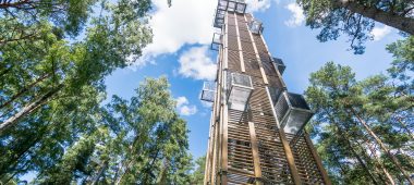 Dzintari Forest Park and observation tower