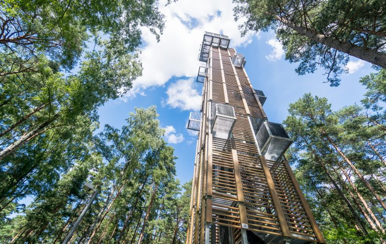 Jūrmala-Dzintaru mežaparks skatu tornis (1)