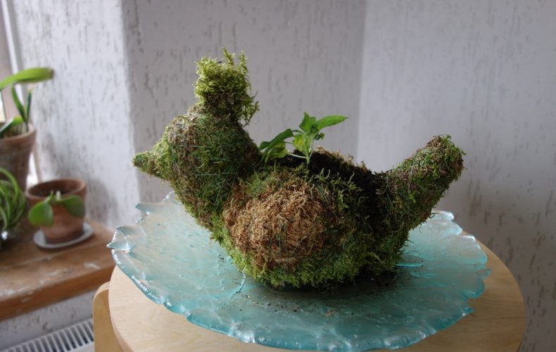 Pļavas-muzejs-zalumzile1