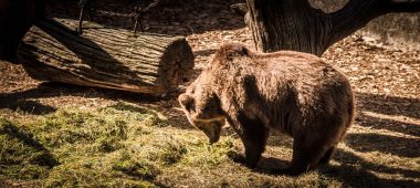 Riga Zoo branch “Cīruļi”