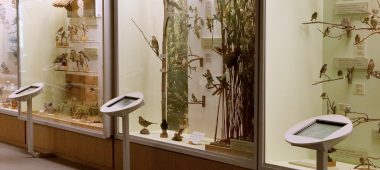 Latvian National Museum of Natural History