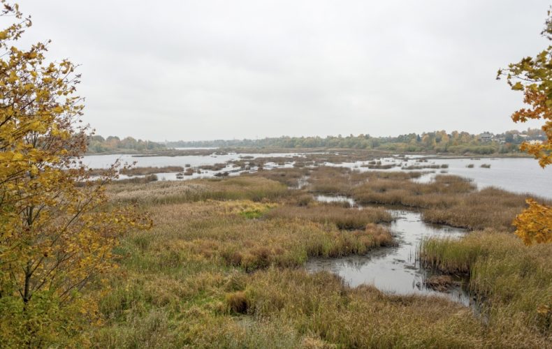 Salaspils-Doles-salas-dabas-parks-II