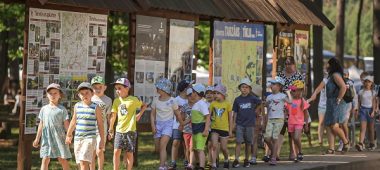 LVM Nature Park in Tērvete