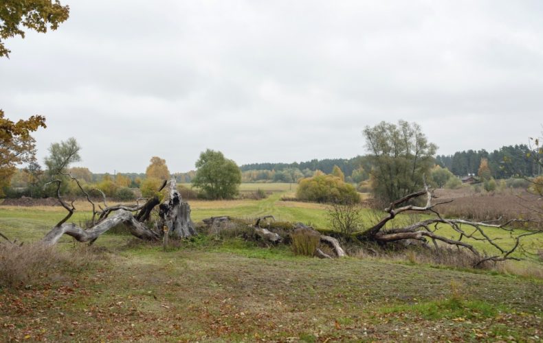 salaspils-Doles-salas-dabas-parks-I