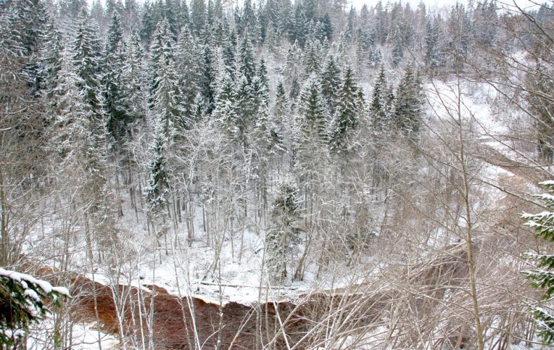 Amatas-taka2