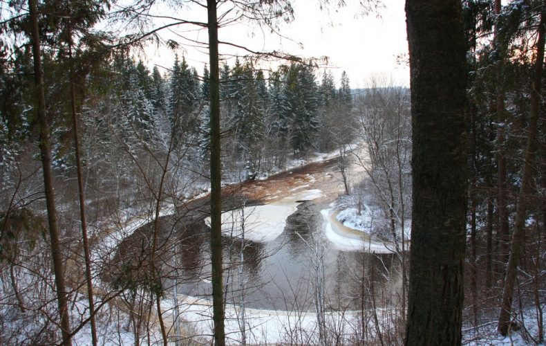Amatas-taka3