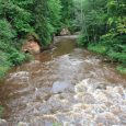 amata_lielie_udeni_03-07-14_1000_3