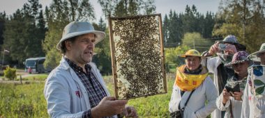Bee apiary “Kāres”