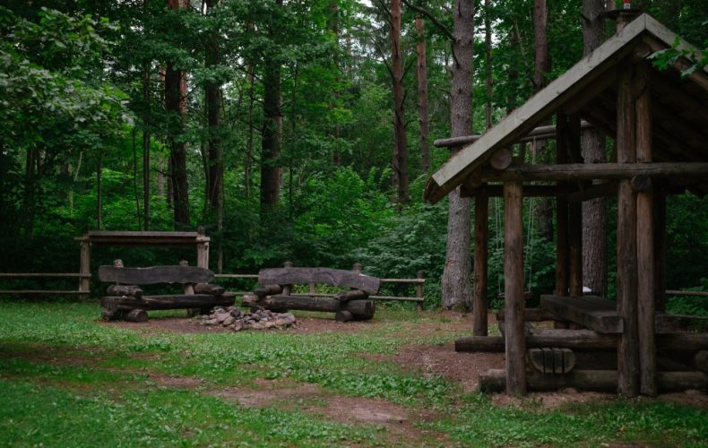 Alsunga-zibgrava-5