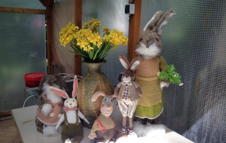 Lielvārde-trušu karaliste6