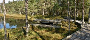 Kalnansi bog trail
