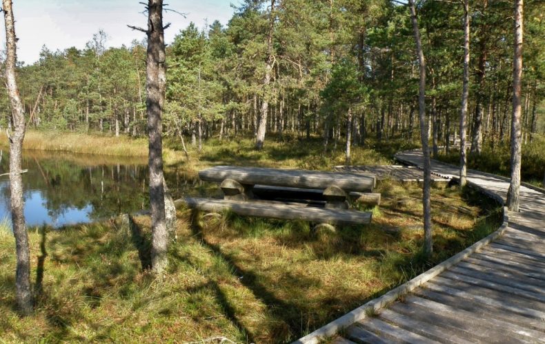 kuldīga-kalnansu_purva_taka_2
