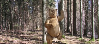 Moss Trail and Happiness Bear Trail