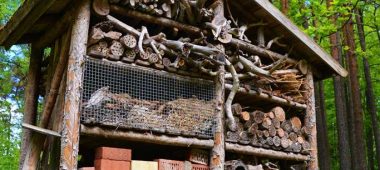 Nature trail “Lustiņdruva”