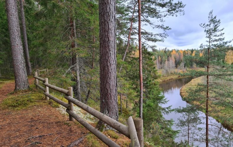daugenu-dabas-taka-visit-valmiera-7