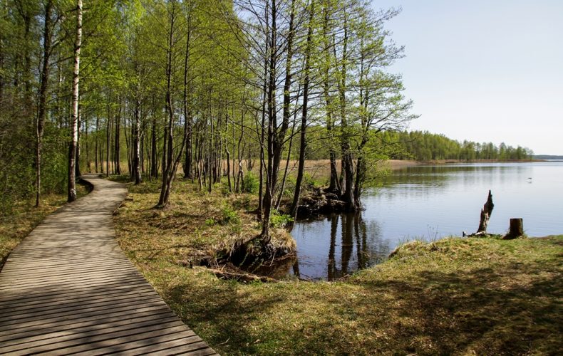 LielEzDabasTaka_I_Evertovskis_003