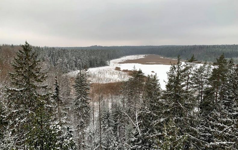 Ropaži-lielie-kangari9