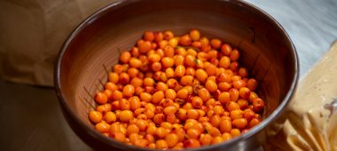 “AmberFarm sea buckthorn nursery