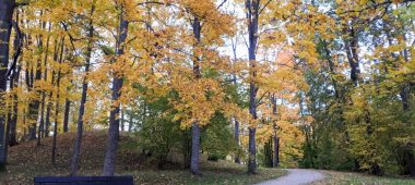 Game – hike “Preiļi Park Beech Tree Trail”