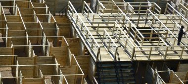 Labyrinth “Minotaur”