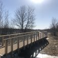 Jelgava-laipa5