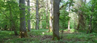 Nature reserve “Ukru gārša”