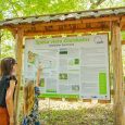 Zilaiskalna-veselības-taka-skatu-tornis-visitvalmiera (12)