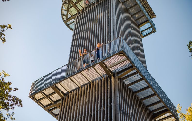 Zilaiskalna-veselības-taka-skatu-tornis-visitvalmiera (16)