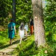 Zilaiskalna-veselības-taka-skatu-tornis-visitvalmiera (7)