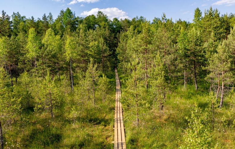 oleru-purva-taka-visit-valmiera-2