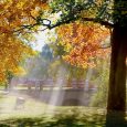 Rudens_darzs 2