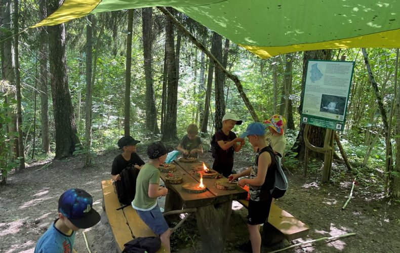 Virsaišu izdzīvotājs1