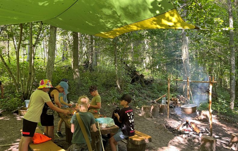 Virsaišu izdzīvotājs2