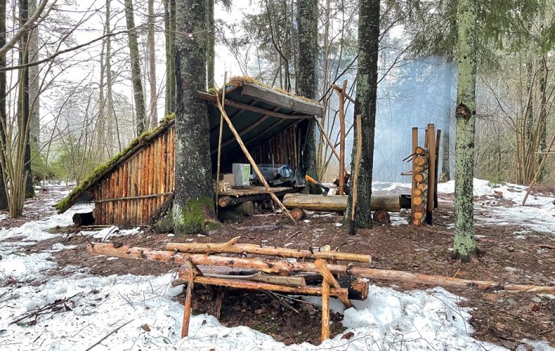 Virsaišu izdzīvotājs4